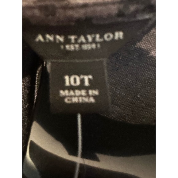 NWT Ann Taylor Career Dress Sz 10T - Picture 2 of 12